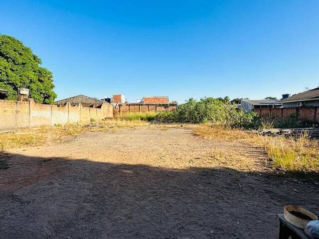 Terrenos para Venda em Sinop - 3