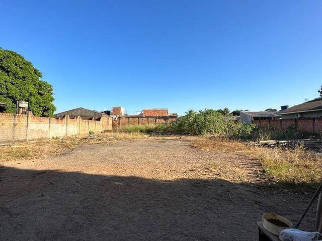 Terrenos para Venda em Sinop - 4