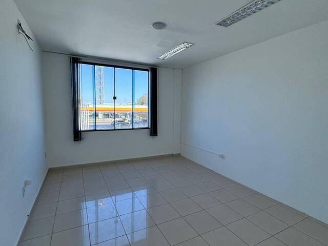 Apartamento para Locação em Sinop - 5