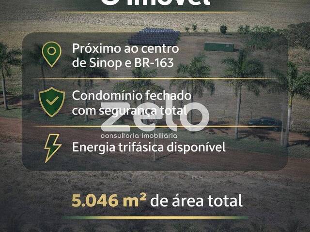 Terrenos para Venda em Sinop - 3